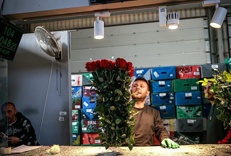 İhracat ve İç Piyasa İçin Stratejiler