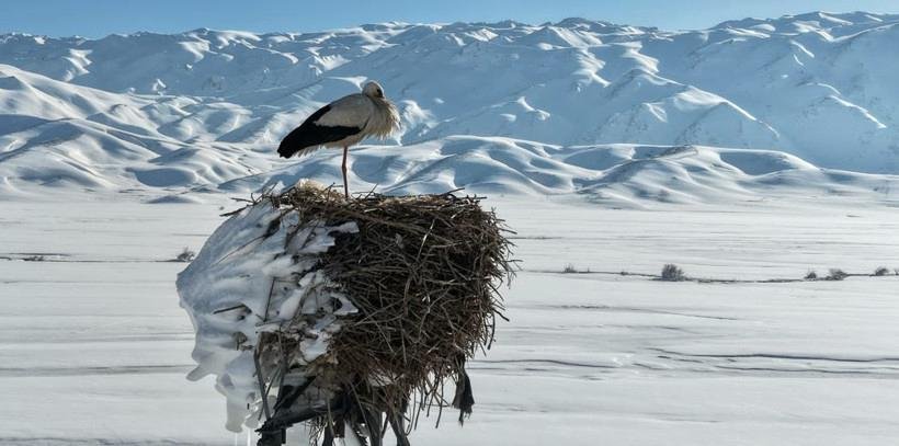 Yağışla Gelen Sessizlik: Karın Öyküsü