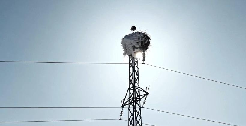 Doğanın Nedeni ve Sonuçları