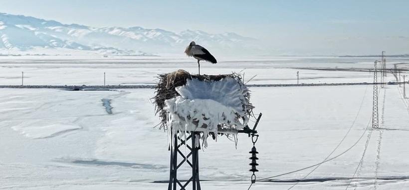 İyileştirilmiş Bakış Açıları ve Pratik Bilgiler