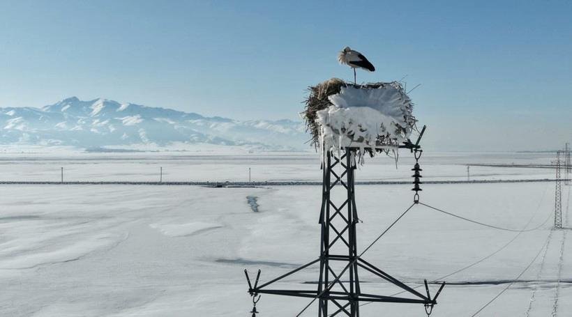 Geleceğe Dair İçgörüler
