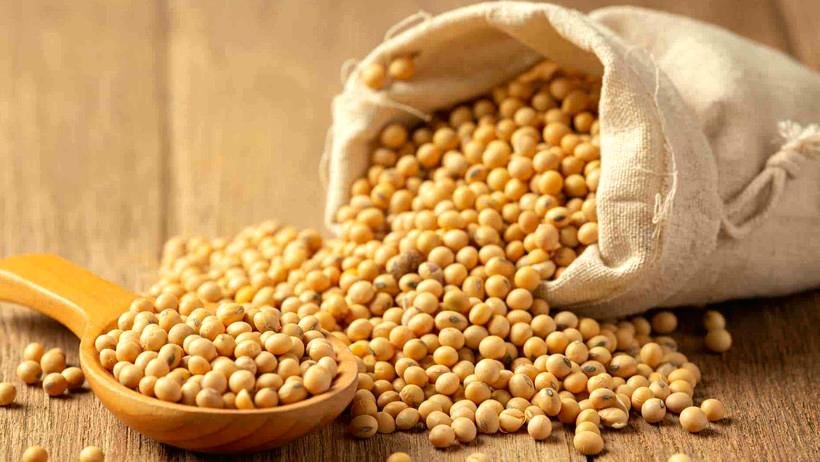 Günlük kullanım önerileri ve çok yönlü mutfak